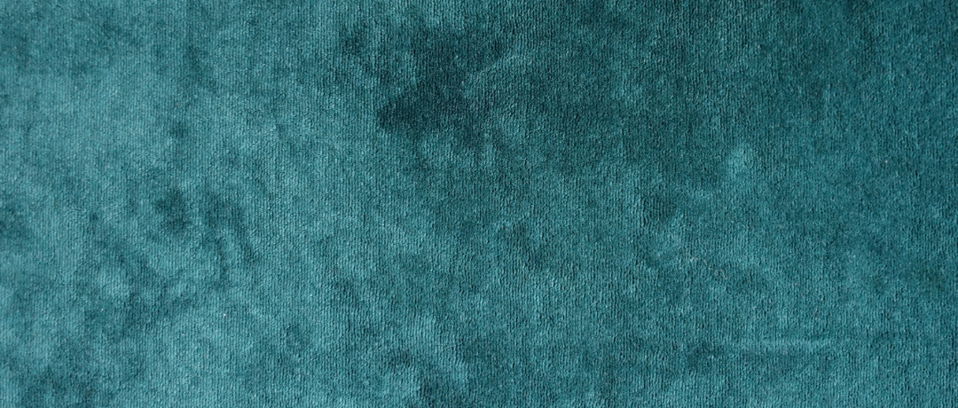 Speech